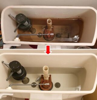 Cómo limpiar la cisterna del inodoro y dejarlo como nuevo