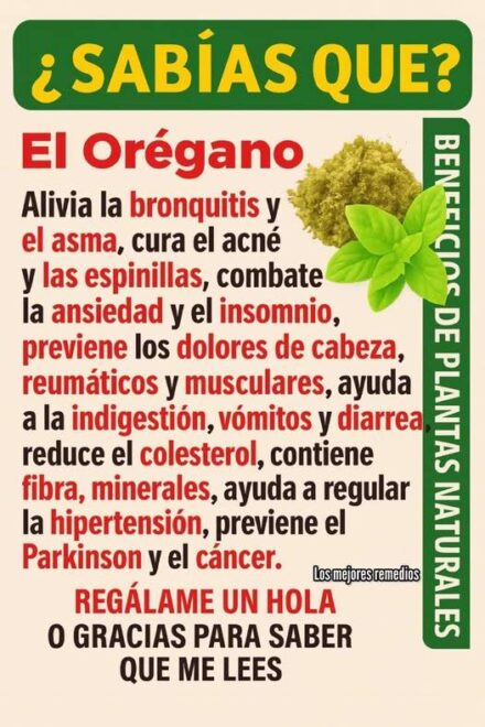 Si tienes esta planta en tu casa, tienes un tesoro y no lo sabias