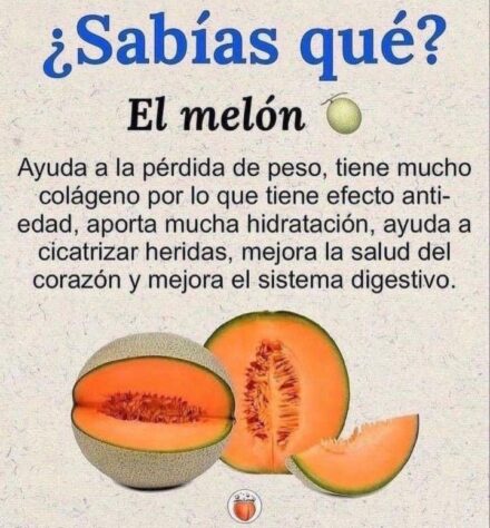 “Mucho más que una fruta: los grandes beneficios del melón”