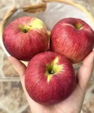 Médicos revelan que comer una manzana cada noche provoca…