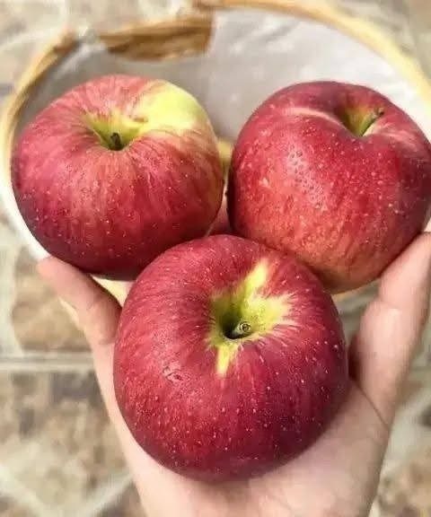 Médicos revelan que comer una manzana cada noche provoca…