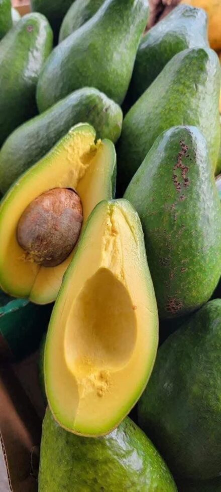 Médicos revelan q el consumo d aguacate provoca in….ver más