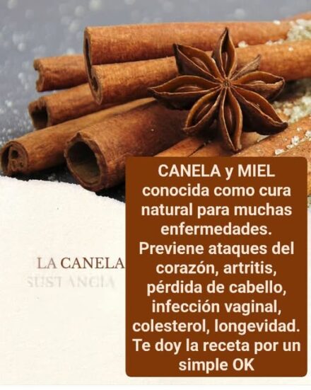 La Canela Con Miel De Abeja