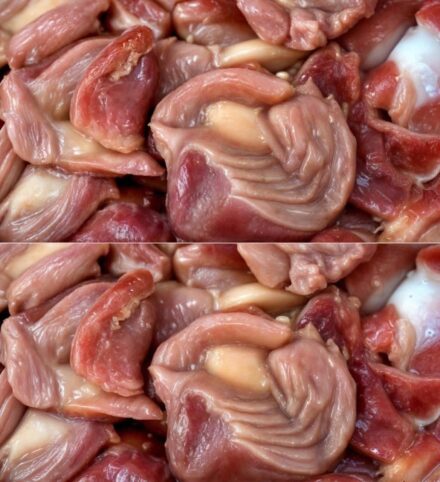 Sabías que si consumes Molleja de pollo no tienes que tomar…Ver Más. February 17, 2026 by edit