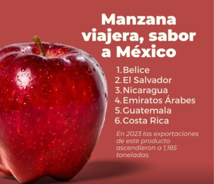 La manzana mexicana no solo destaca por su color rojo intenso