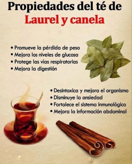 Té de laurel con canela: beneficios y cómo prepararlo