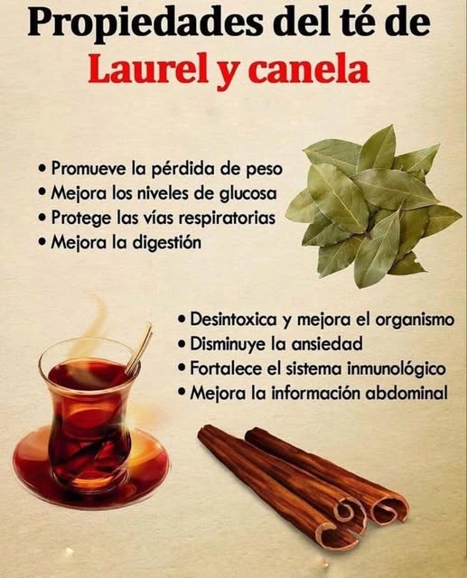 Té de laurel con canela: beneficios y cómo prepararlo