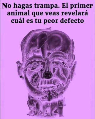 El curioso test visual que promete revelar tu ‘peor defecto’ según el primer animal que veas
