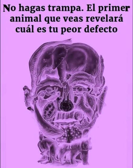 El curioso test visual que promete revelar tu ‘peor defecto’ según el primer animal que veas