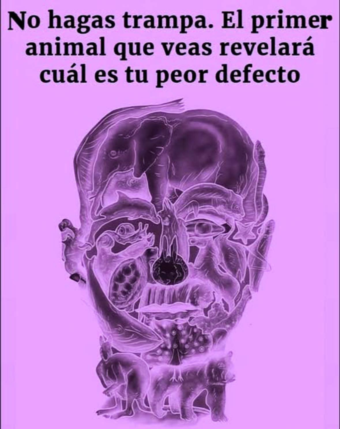 El curioso test visual que promete revelar tu ‘peor defecto’ según el primer animal que veas