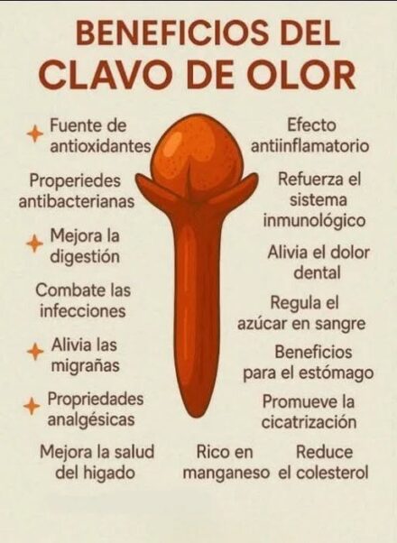Beneficios del clavo de olor
