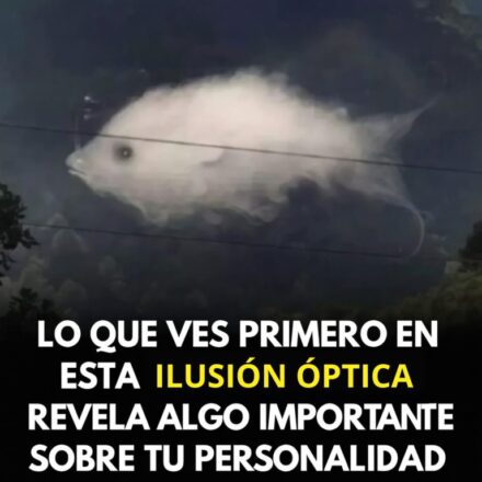 Test: Lo que ves primero revela algo importante sobre tu personalidad
