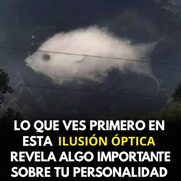 Test: Lo que ves primero revela algo importante sobre tu personalidad