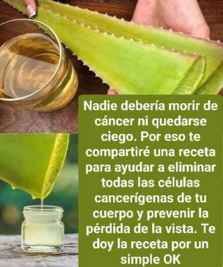 Cómo preparar paso a paso el jugo de aloe vera