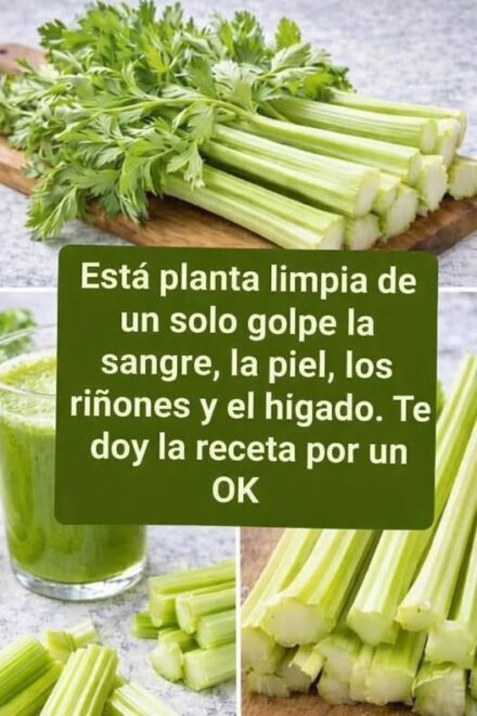 Perejil con cilantro Para Eliminar Piedras En Los Riñones