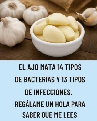 https://receta-facil.jujo.shop/el-ajoantibiotico-natural-contra-infecciones-cotidianas/