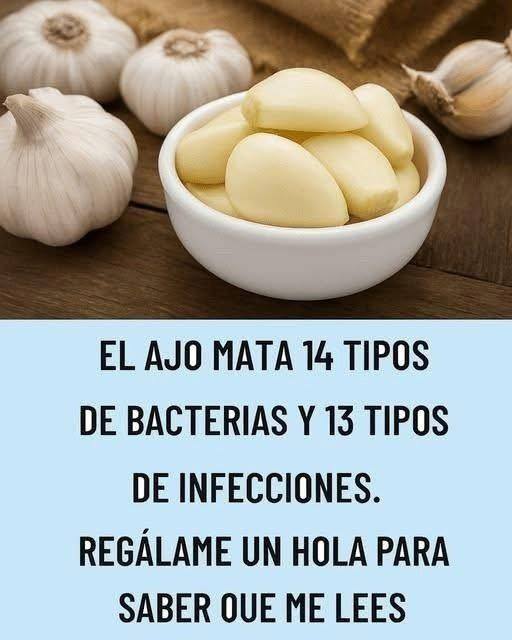 https://receta-facil.jujo.shop/el-ajoantibiotico-natural-contra-infecciones-cotidianas/