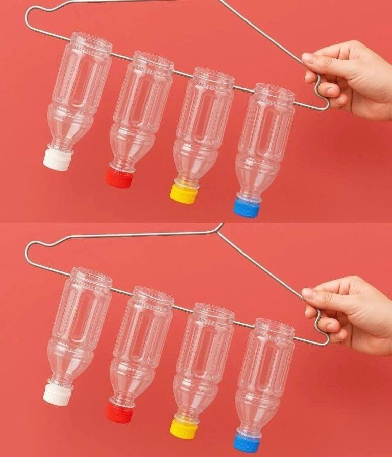 ¡Deja de tirar tus botellas de plástico gracias a esta brillante idea!