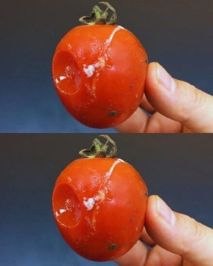 No tires los tomates podridos