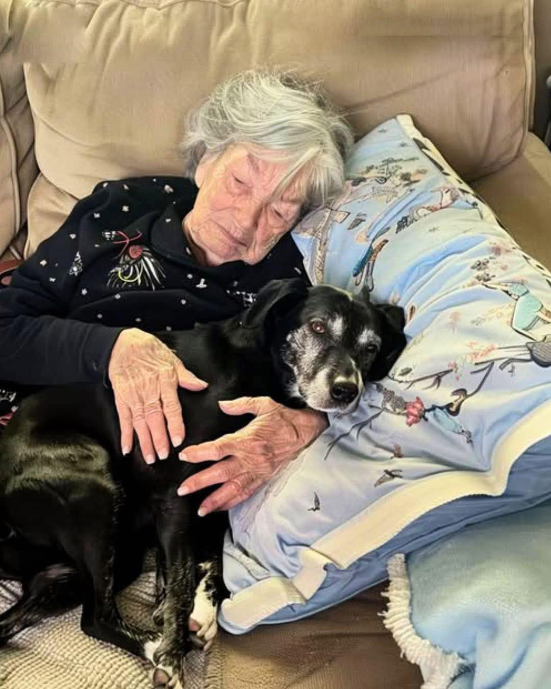 Yo fui la única que se hizo cargo del perro de mi abuela mientras la familia se peleaba por la herencia, y ese gesto terminó revelando el secreto que ella me había dejado.