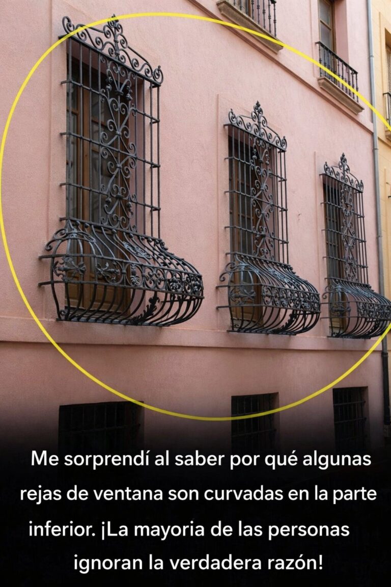 Mucha gente piensa que es solo decoración