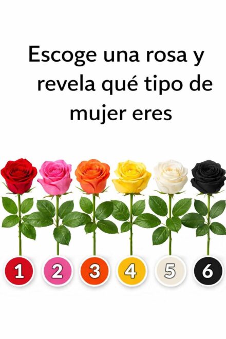 Elige una rosa y revela qué tipo de mujer eres