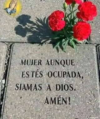 Mujer, aunque estés ocupada, nunca olvides orar a Dios desde lo más profundo de tu corazón…🫩🫩👇🏻👇🏻