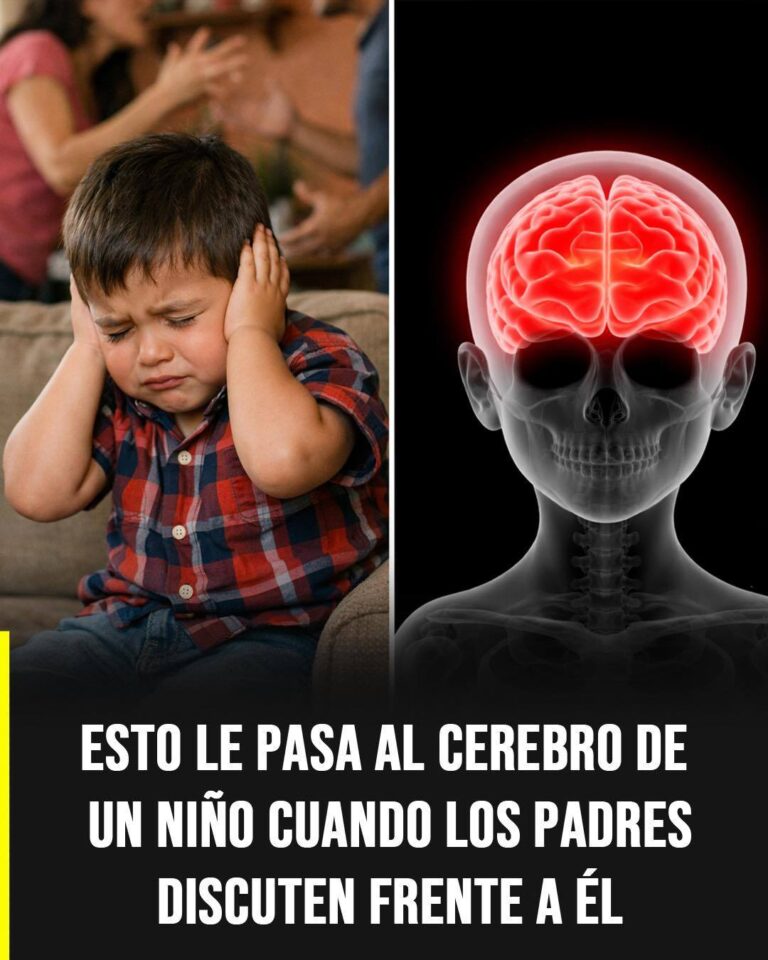 Cómo afectan las discusiones de los padres al cerebro de los niños desde la primera infancia