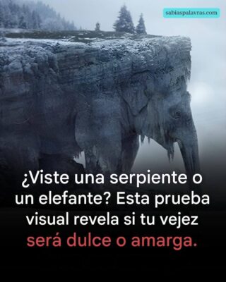 ¿Qué viste a primera vista? ¡El 97% de las personas vio una serpiente! ¡Descubre si tu vejez será amarga o dulce!
