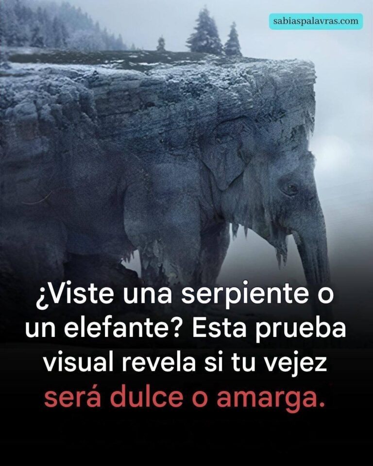¿Qué viste a primera vista? ¡El 97% de las personas vio una serpiente! ¡Descubre si tu vejez será amarga o dulce!