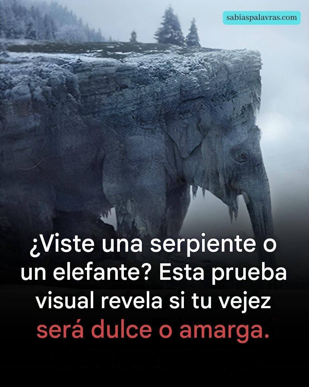 ¿Qué viste a primera vista? ¡El 97% de las personas vio una serpiente! ¡Descubre si tu vejez será amarga o dulce!