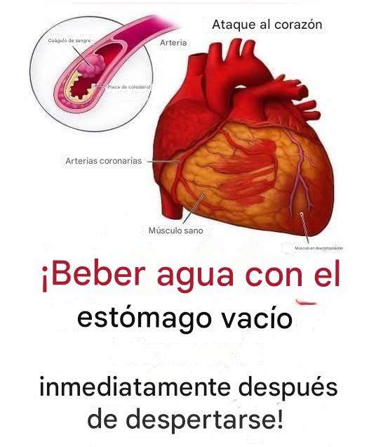 Beber agua con el estómago vacío: lo que realmente dice la ciencia (más allá de la publicidad engañosa)