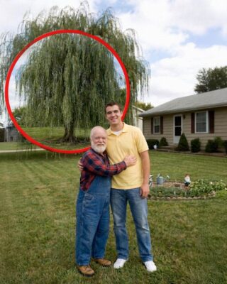 SECRETOS ENTERRADOS, La Pala Golpeó Algo Sólido Bajo el Árbol del Grandpas, y Mi Vida cambió para siempre